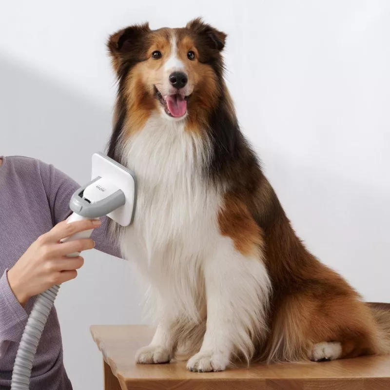 Dulkių siurblys | DREAME | Mova G1 Pro Pet Grooming Kit | Dulkių talpa 1 L | Valymo tipas Sausas | Spalva Balta | PHC10A