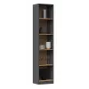 Topeshop R40 ANT/ART biuro knygų spinta