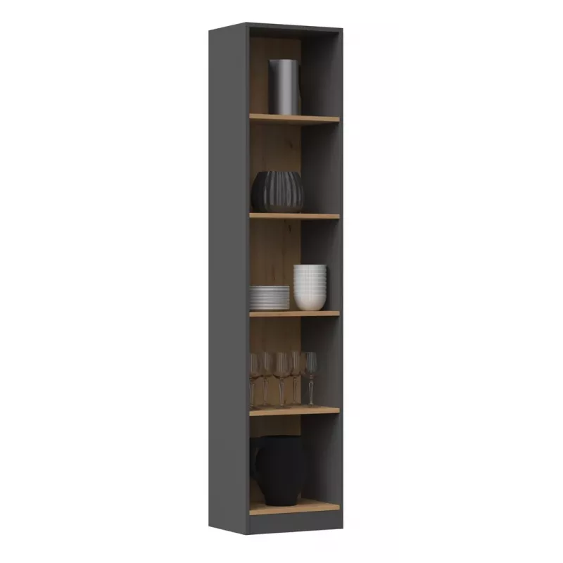 Topeshop R40 ANT/ART biuro knygų spinta