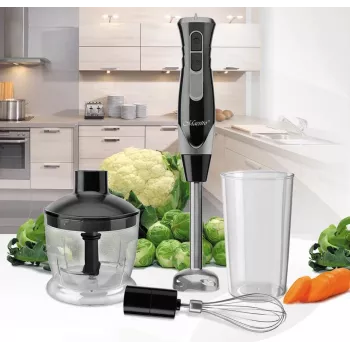Rankinis trintuvas Maestro MR-566, 500 W, 2 greičiai, turbo, plakiklis, smulkintuvas 600 ml, 900 ml laikymo indas, nerūdijantis plienas