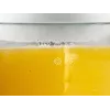 Elektrinis citrusinių vaisių sulčiaspaudė Beper BP.102 1,7 L 2200 W