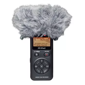 Tascam WS-11 - vėjo apsaugos dangtelis nešiojamiesiems garso įrašymo įrenginiams