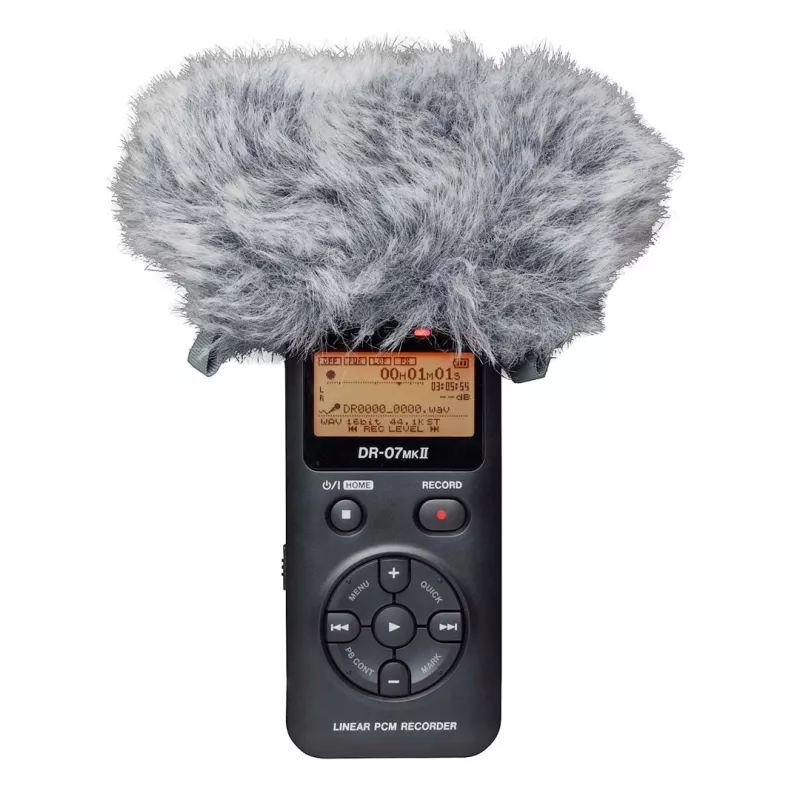 Tascam WS-11 - vėjo apsaugos dangtelis nešiojamiesiems garso įrašymo įrenginiams