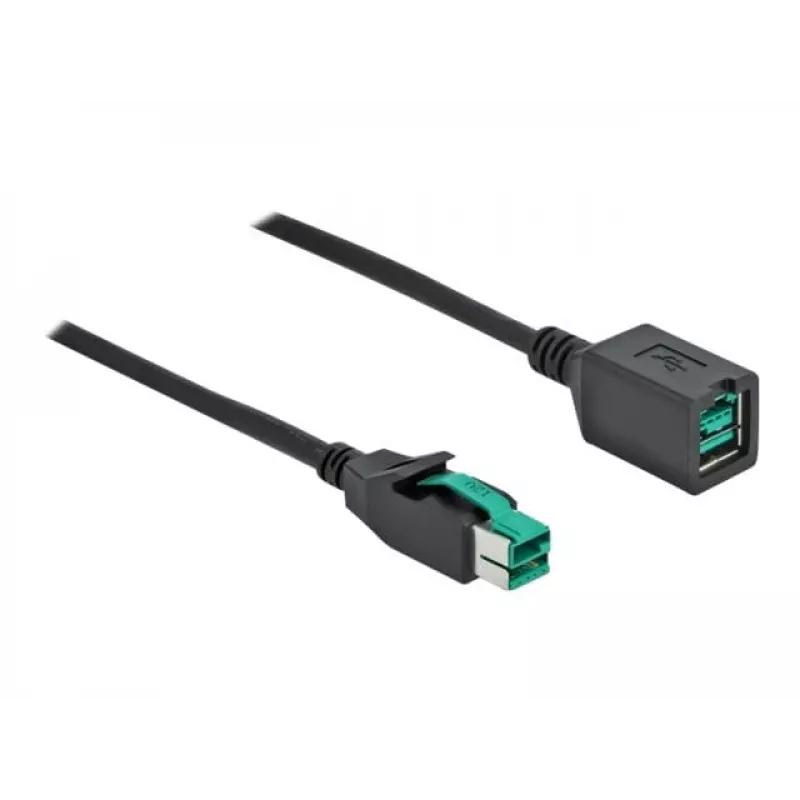 Maitinamas USB ilginimo laidas DeLOCK 85980 12 V 1 m