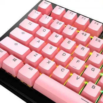 Mechaninės klaviatūros klavišų dangtelių rinkinys GLORIOUS GPBT Basics ANSI PBT Potion P — ANSI išdėstymas, PBT medžiaga