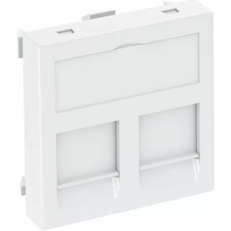 OBO Bettermann Data Technology Carrier DTG-2CRW Type C (6119214)