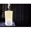 Elektrinis virdulys Beper 70.401 1,7 l 2200 W – laidinis stalinis virdulys