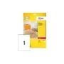 Avery Clear Address Label Laser L7565 Skaidrus 99.1x67.7mm 25 lapai