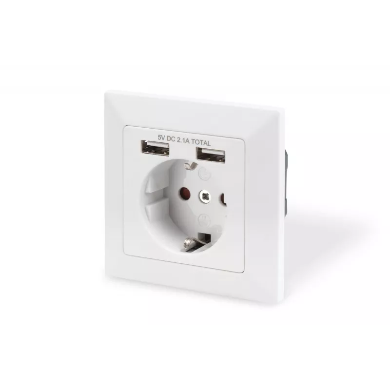 Apsauginis lizdas montavimui į sieną Digitus DA-70613 su 2 USB prievadais