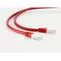 S/CONN Cat 6 S/FTP 0.25m tinklo kabelis raudonas RJ-45 auksas