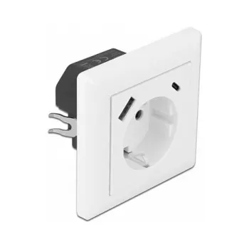 DeLOCK 11489 Kištukinis lizdas CEE 7/3 + USB Baltas 250V 16A