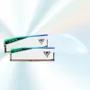DIMM 48 GB DDR5-6000 (2x 24 GB) dviejų kanalų rinkinys, atmintis balta, PVER548G60C42KW, Viper Elite 5 RGB, INTEL XMP, AMD EXPO