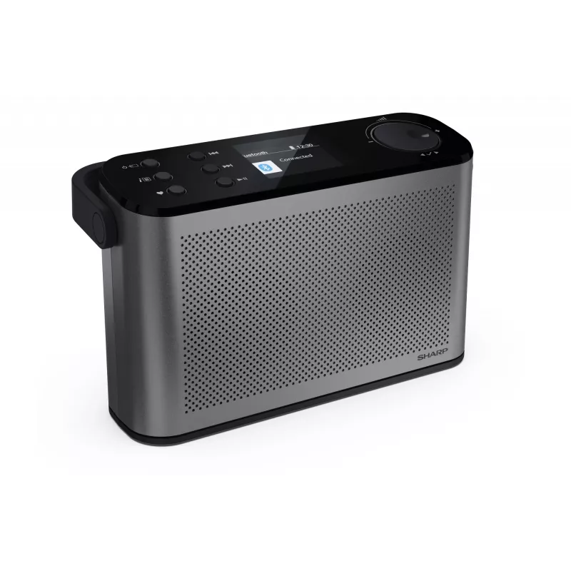 Stereo radijas Sharp OSAKA DR-P540(GY)