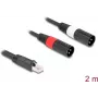 Garso kabelis DeLOCK 88173 2 m RJ-45 2 x XLR 3 kontaktų juodas