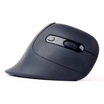 Gembird MUSW-ERGO-03 pelė Namams Dešiniarankiams RF Belaidis Optinis 1600 DPI