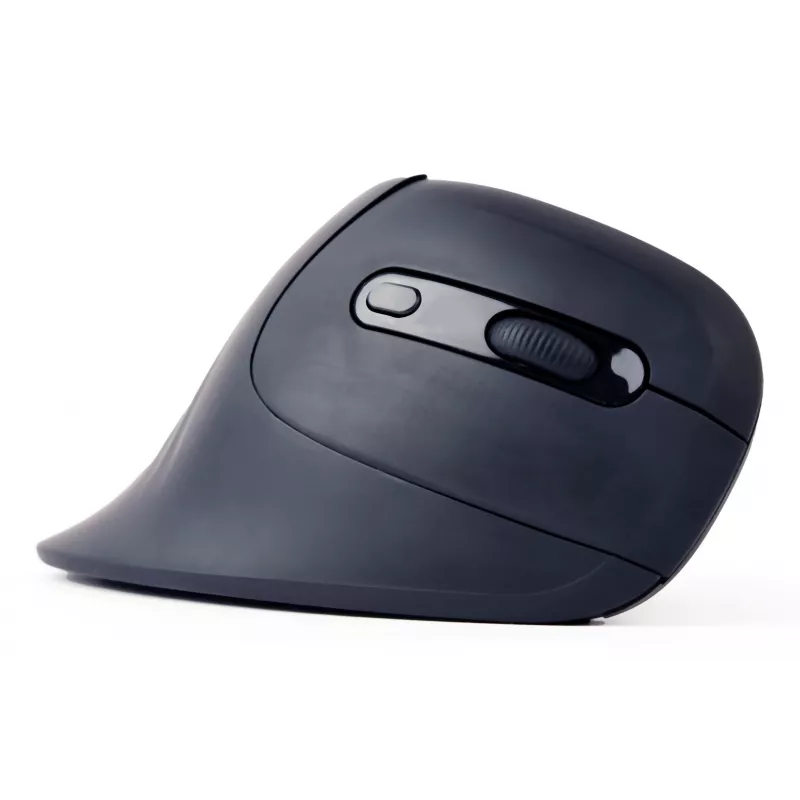 Gembird MUSW-ERGO-03 pelė Namams Dešiniarankiams RF Belaidis Optinis 1600 DPI