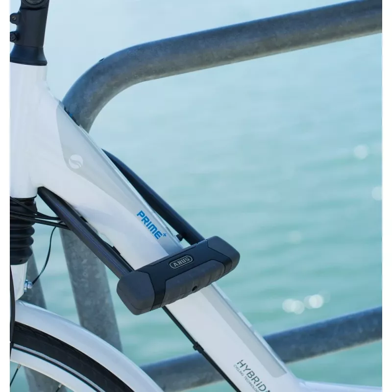 Abus Security-center 11185 Juoda