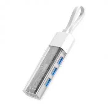 ROLINE mobilus USB 3.2 Gen 1 šakotuvas, 4 prievadų, A ir C tipo jungties kabelis