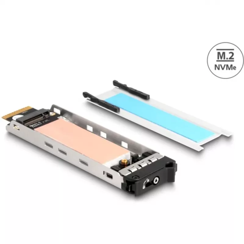 Laikmenų dėklo rėmelis DeLOCK Mobile Rack Inner Tray 1 x M.2 NVMe SSD juoda