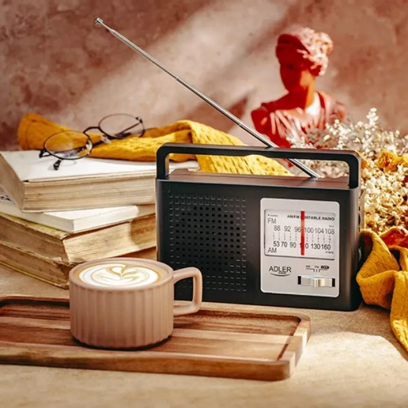 Radijas AM/FM AD1909
