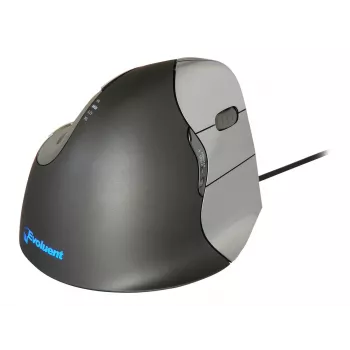 Evoluent Verticalpelė 4 USB Type-A pelė