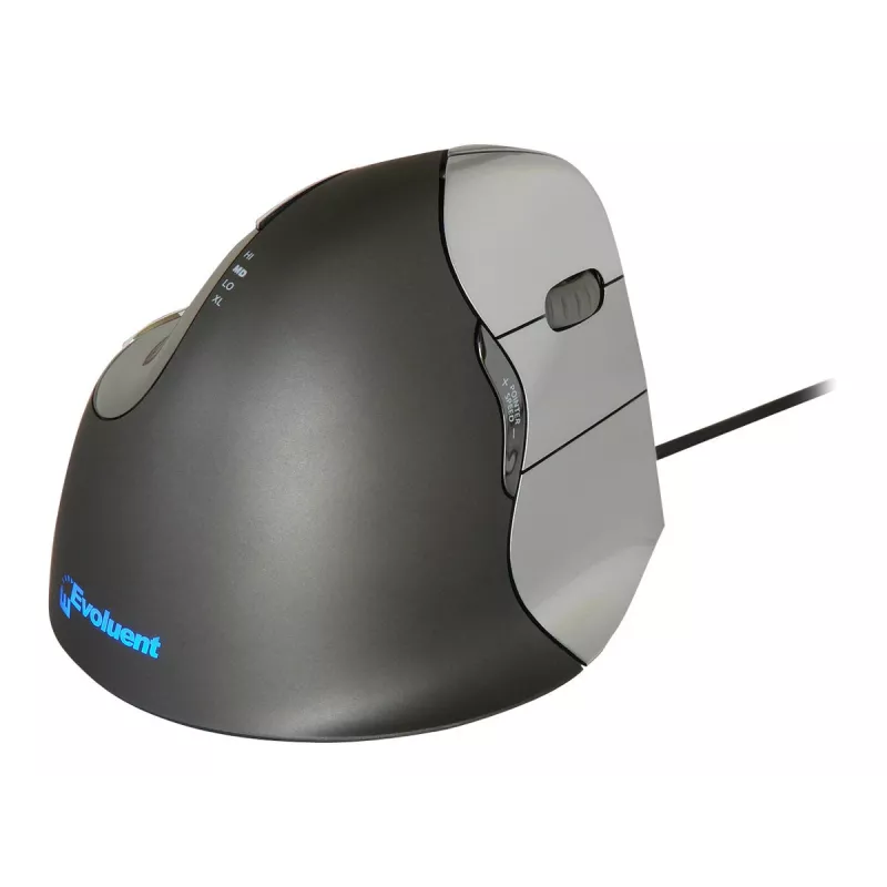 Evoluent Verticalpelė 4 USB Type-A pelė