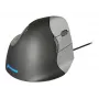 Evoluent Verticalpelė 4 USB Type-A pelė
