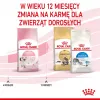Sausas kačių maistas Royal Canin Kitten 2 kg — paukštienos (vištienos) formulė, baltymai 36%, riebalai 18%