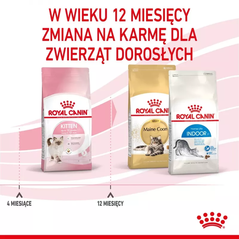Sausas kačių maistas Royal Canin Kitten 2 kg — paukštienos (vištienos) formulė, baltymai 36%, riebalai 18%