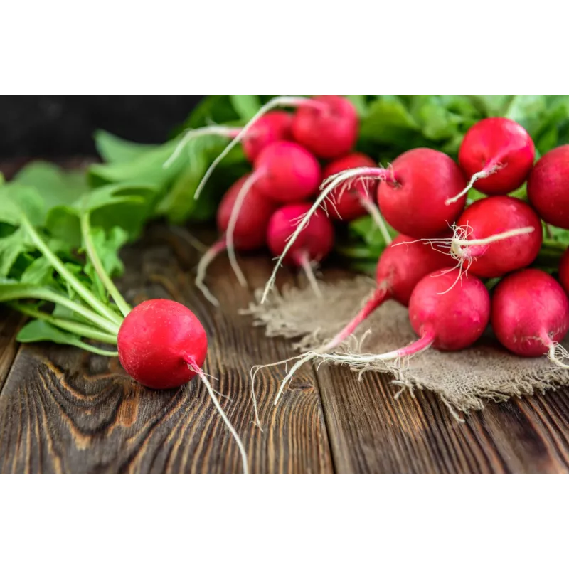 Saxa 3 ridikėlių sėklos, 10g daržovių sėklų pakuotė