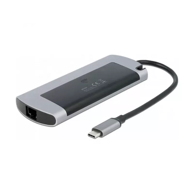 Dokų stotelė DeLOCK USB Type-C su M.2 lizdu