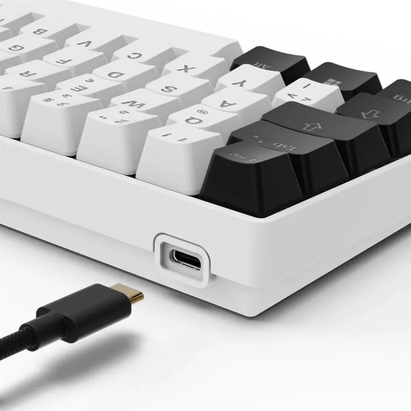 Sharkoon SGK50 S4 klaviatūra Namų USB QWERTZ Vokiečių Balta RGB LED 60%