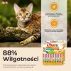 Kačių skanėstai INABA Churu Variety Box — Vištienos pastos skanėstai, 40 × 14 g, be grūdų, be glitimo ir sojos