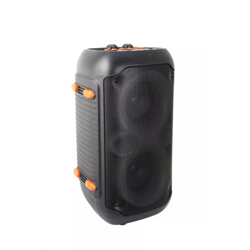 Esperanza EP156 BT FM LED RGB KARAOKE garsiakalbis juodas 20W