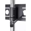 Stovas STD01 ekranui 32-55'' VESA 75x75/600-400'' 80 kg