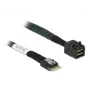 DeLOCK SAS kabelis 85081 0,5 m plonas SAS SFF-8654 Mini SAS HD SFF-8643