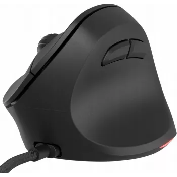 NATEC Crake 2 Pro pelė universali dešiniarankiams USB Type-A optinė 12800 DPI