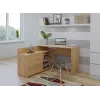 Kampinis kompiuterio stalas Top e Shop DANY ARTISAN KPL, L formos, medžio drožlių plokštė, ąžuolo spalvos