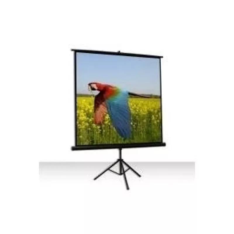 Celexon Economy 1:1 Tripod Screen 184 x 184 (1090016)