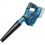 Lapų pūstuvas Bosch GBL 18V-120 Professional