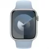 „Apple PWAWZ-100389“ gaminys