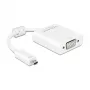 USB grafikos adapteris DeLOCK 65557 1920 x 1080 pikselių Baltas