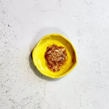 Ollo Tunas su lašiša sultinyje Nr. 5, 70 g