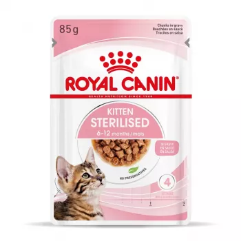 Šlapias kačių ėdalas Royal Canin Sterilised Gravy, 12 x 85 g maišeliai — vištiena, sterilizuotiems/ kastruotiems kačiukams, 11% baltymų, 80,5% drėgmės