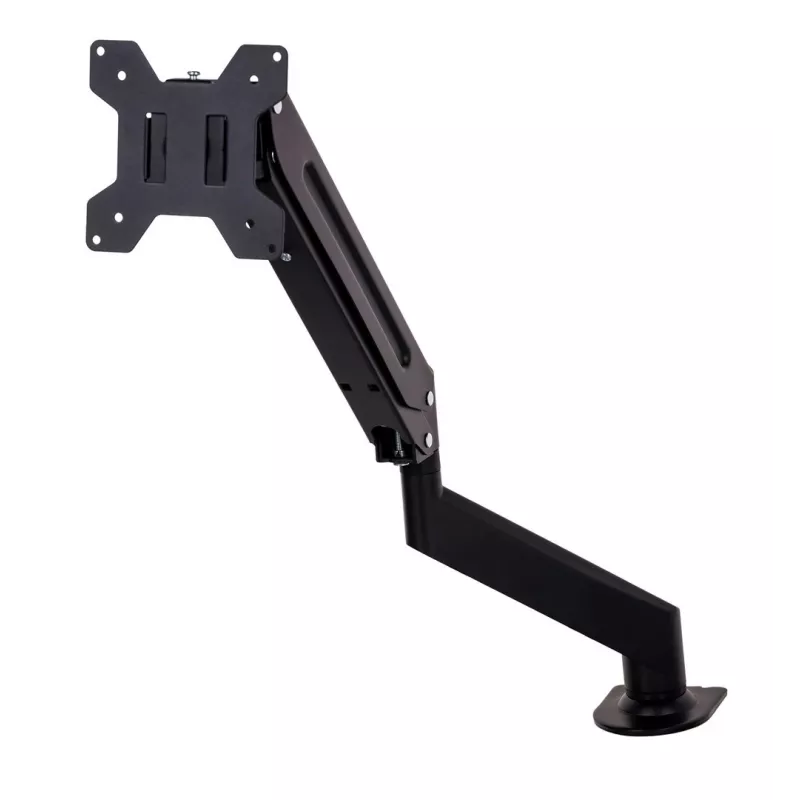 Esperanza ERW019 monitoriaus laikiklis / stovas 68,6 cm (27) stalui Juodas
