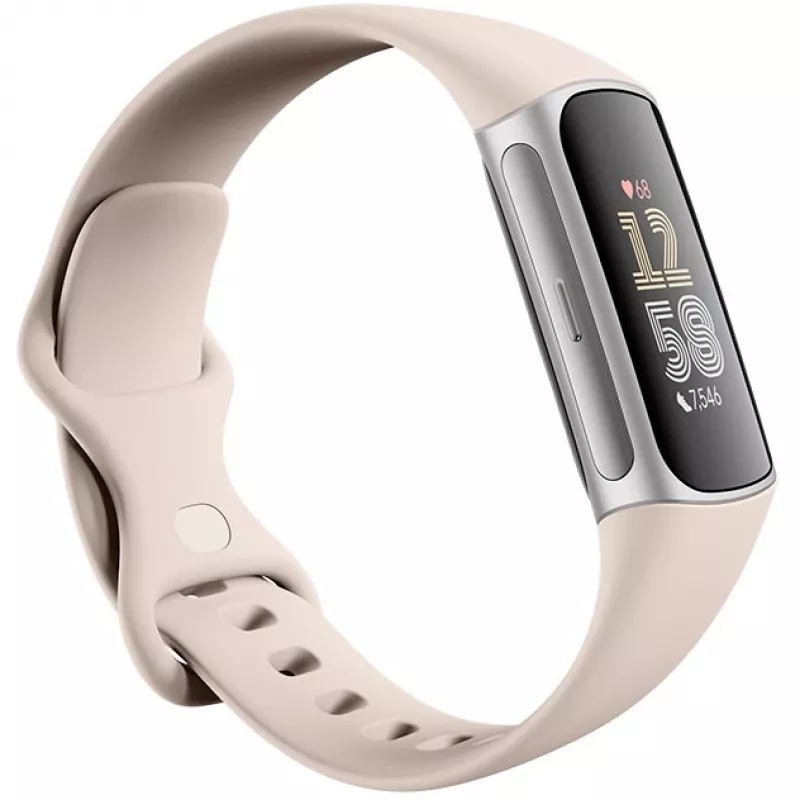 Fitbit GA05185-EU gaminys sidabrinis