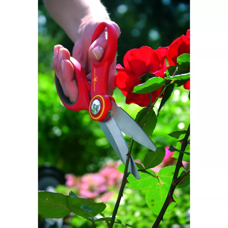 Veja šluota WOLF-Garten RA-X 7216.000