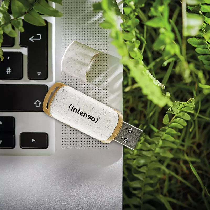 USB atmintukas Intenso 32GB USB Type-A 3.2 Gen 1