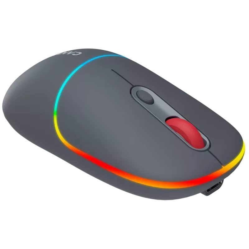 Canyon MW-22 2in1 RGB belaidė pelė - pilka - Bluetooth/RF - 1.600 dpi - įkraunama