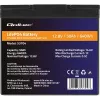 LiFePO4 baterija QOLTEC 12,8 V 50 Ah (modelis 53704) atsarginiam maitinimui ir energijos kaupimui